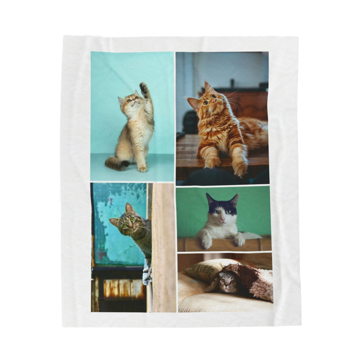 Personalized Cat Photo Blanket