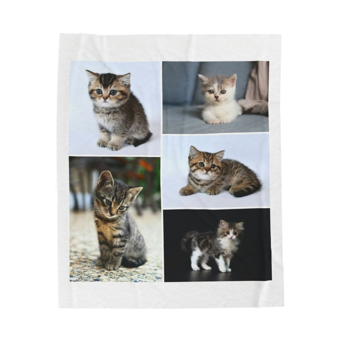 Personalized Kitten Blanket