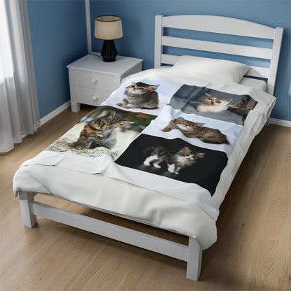 Personalized Kitten Blanket