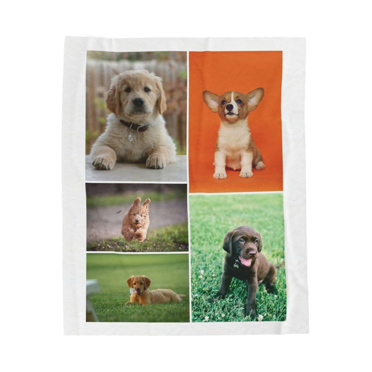 Custom Puppy Blanket