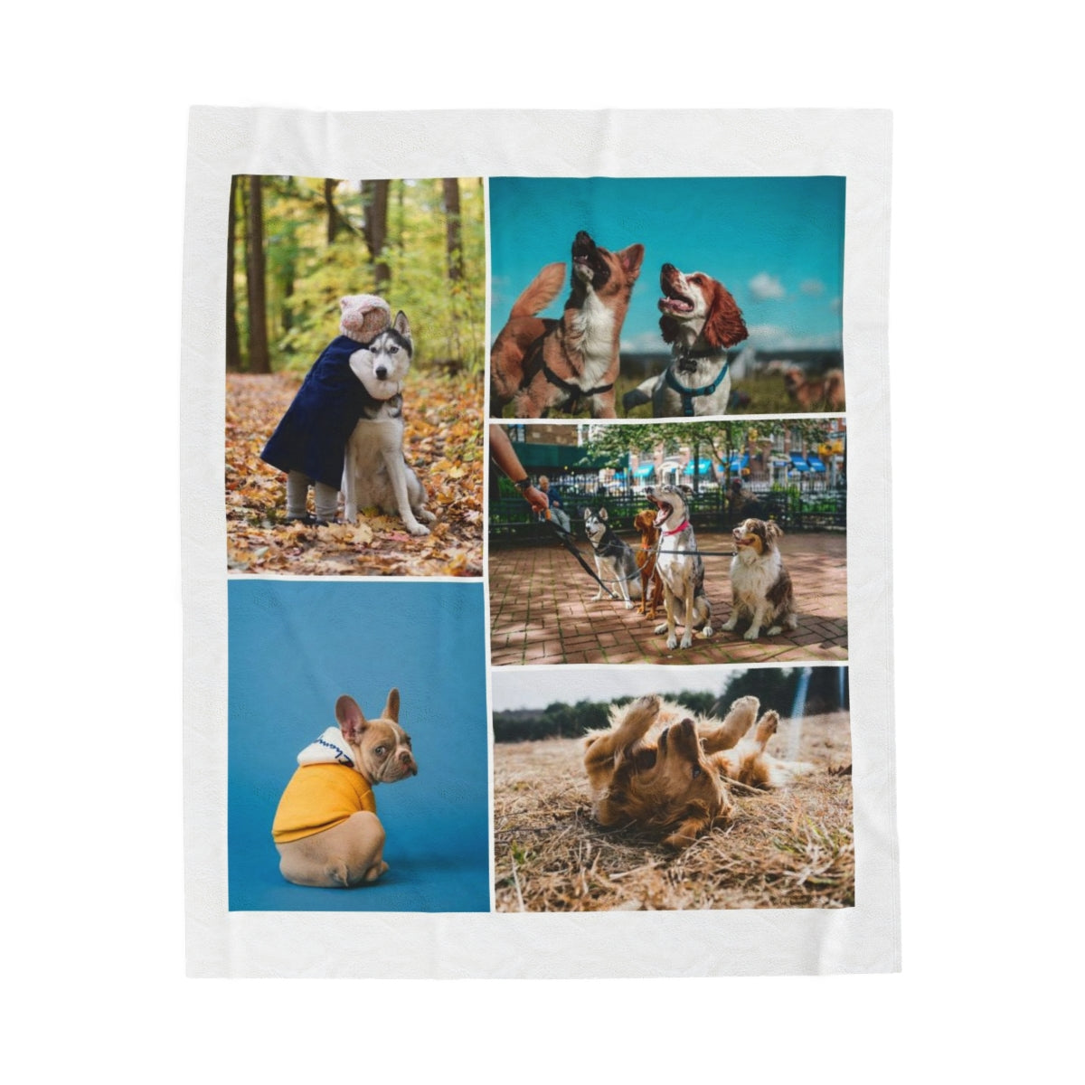 Personalizd Dog Photo Blanket